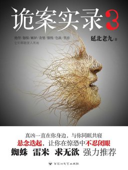 诡案实录 3