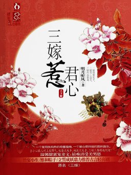 三嫁惹君心（上下册）